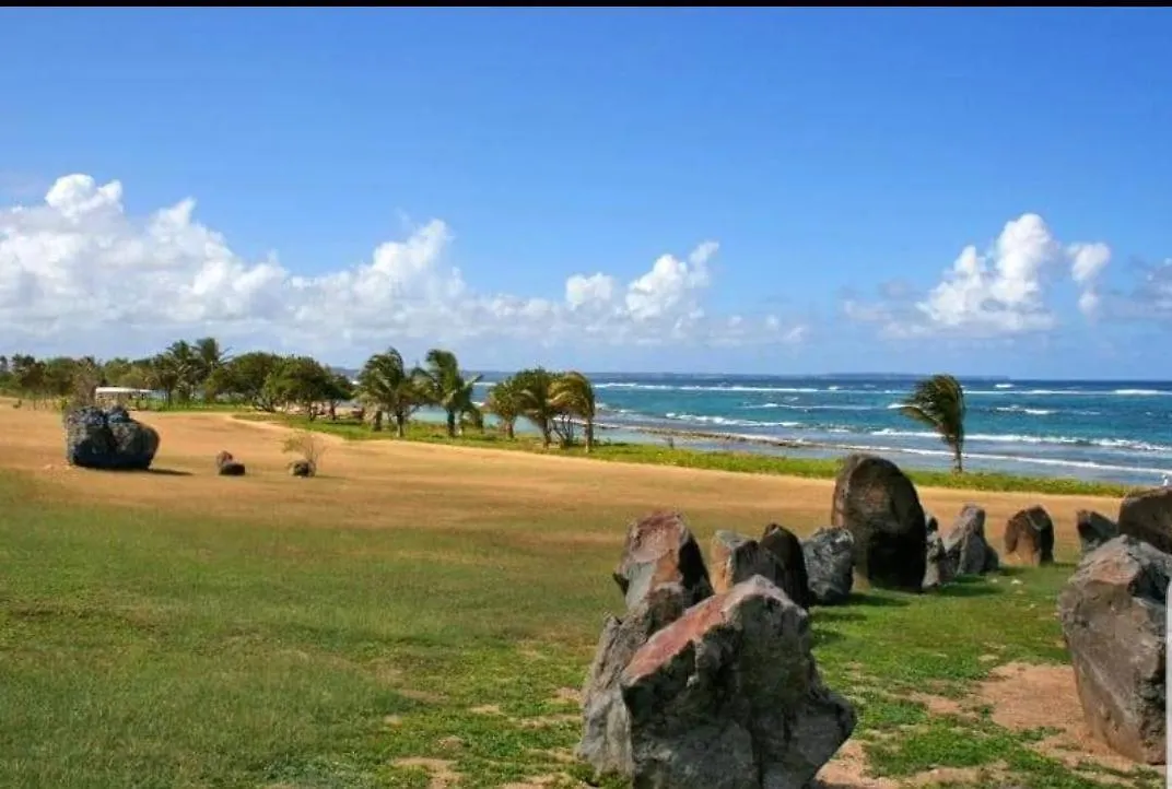 Studio Tropical Vue Mer Le Moule 0*,  Guadeloupe